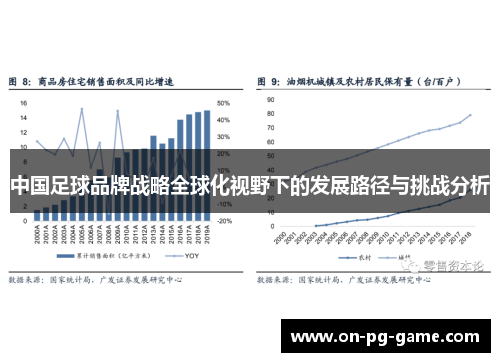 中国足球品牌战略全球化视野下的发展路径与挑战分析