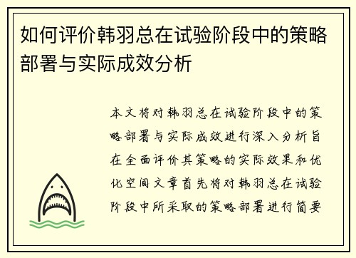 如何评价韩羽总在试验阶段中的策略部署与实际成效分析