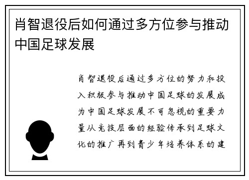 肖智退役后如何通过多方位参与推动中国足球发展