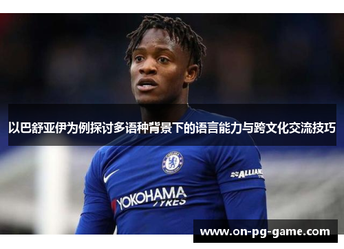以巴舒亚伊为例探讨多语种背景下的语言能力与跨文化交流技巧