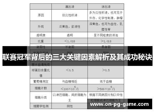 联赛冠军背后的三大关键因素解析及其成功秘诀